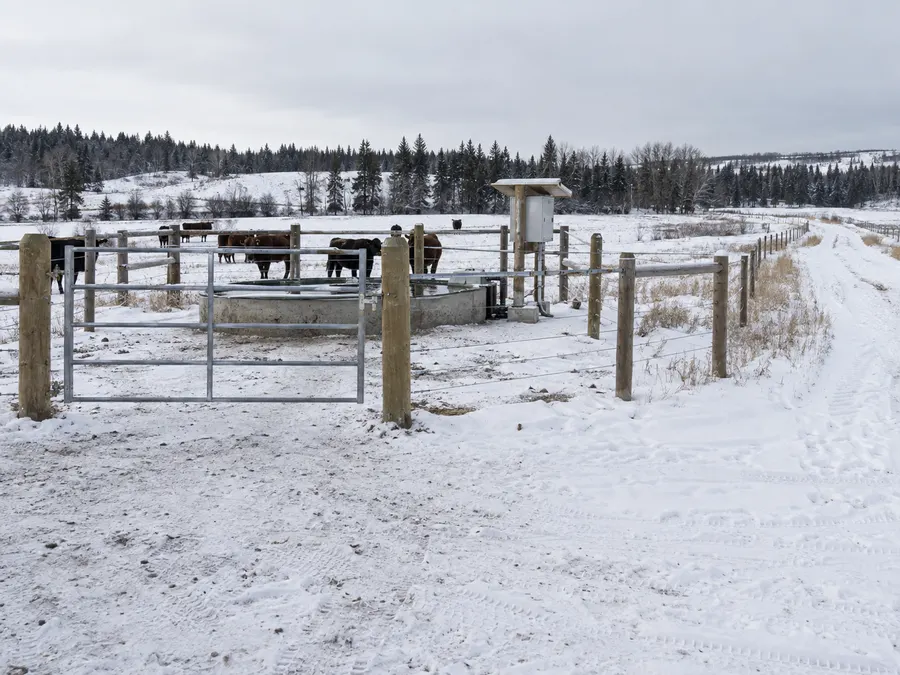 Representative winter cattle water point with fence, service gate and snow-covered access track