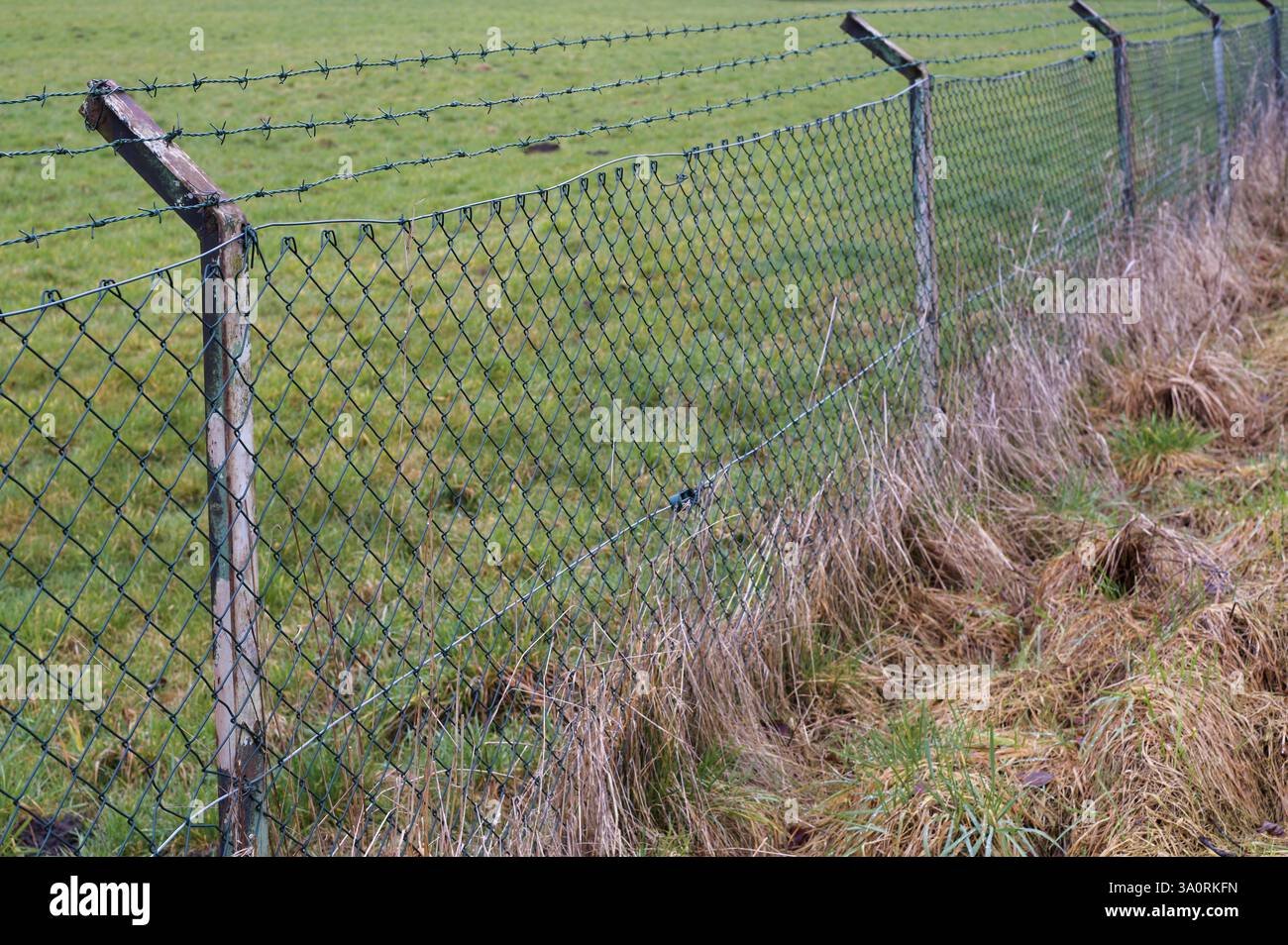 Barbed wire cattle fence installed on rural farm property