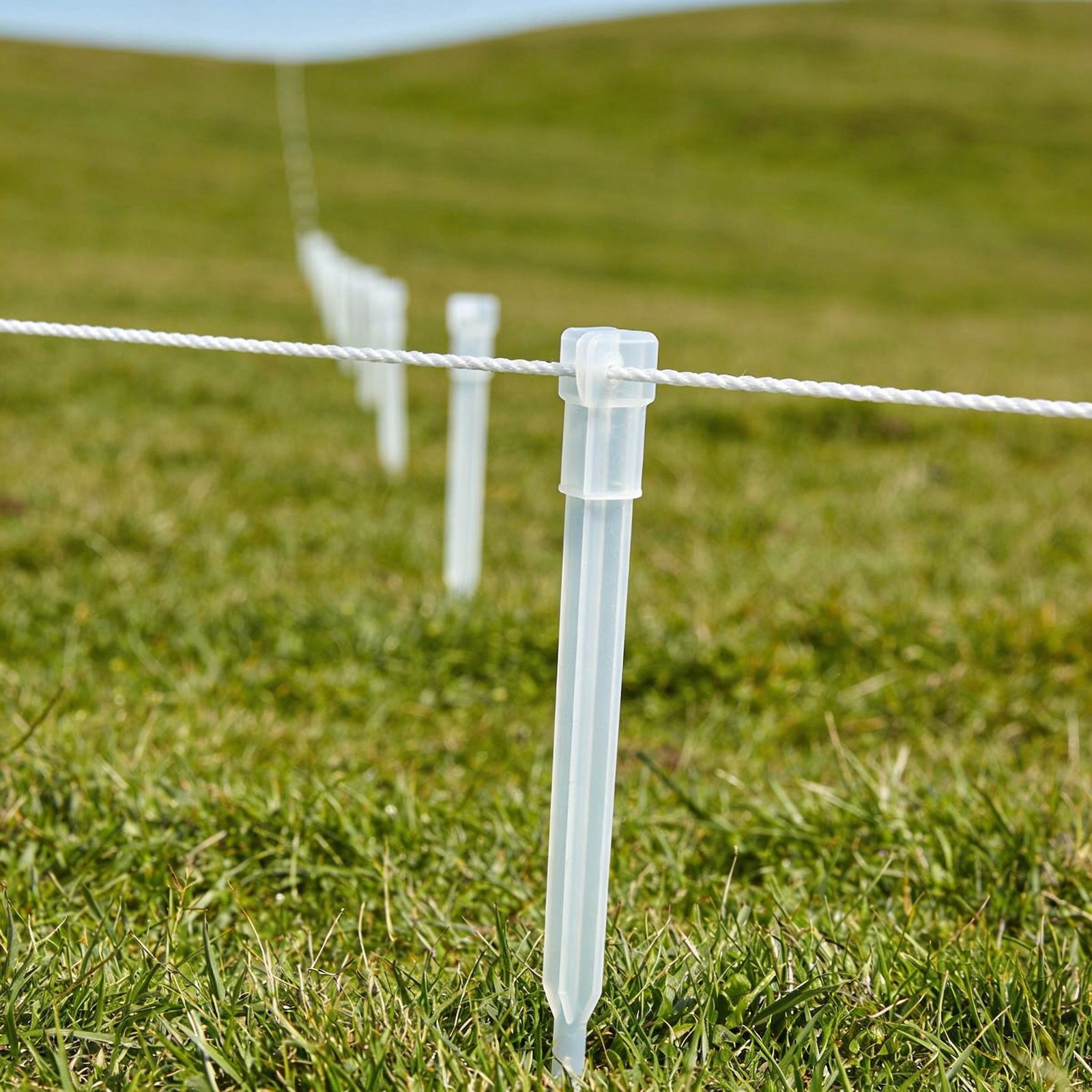 Temporary electric polywire fencing on step-in posts for rotational grazing paddocks