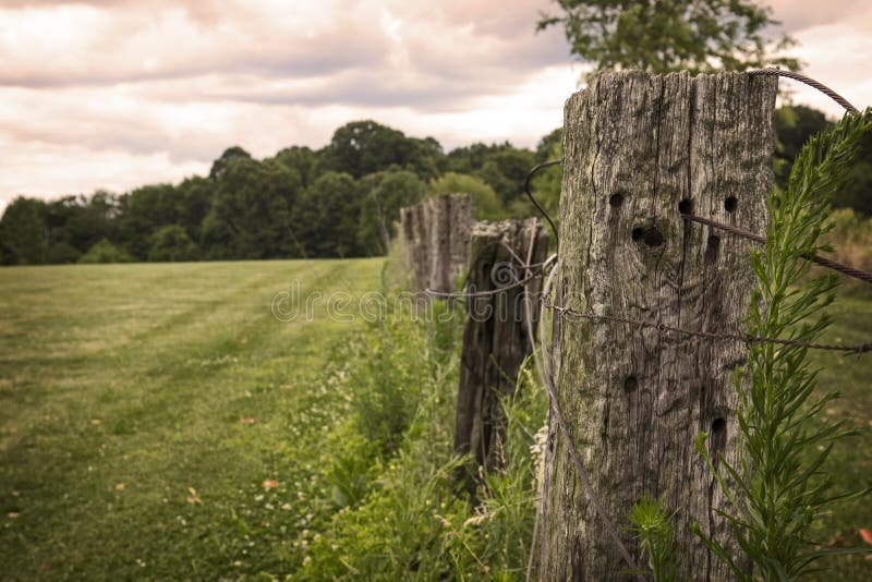 Barbed wire fence with wooden posts installed on farmland